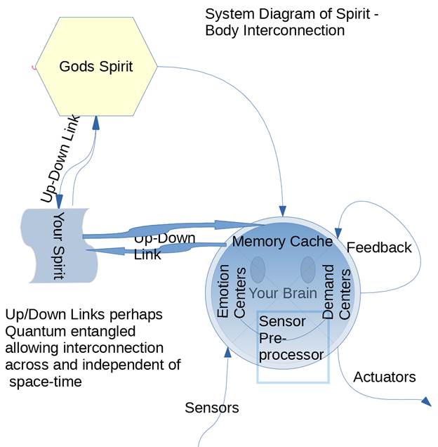 System Diagram of Spirit Body Interconnection